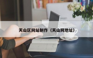 开原天山区网站制作（天山网地址）
