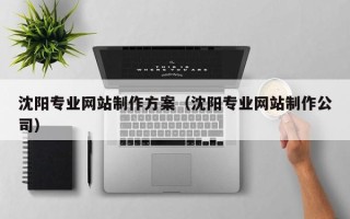 开原沈阳专业网站制作方案（沈阳专业网站制作公司）